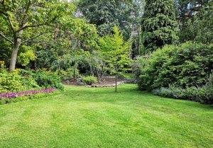 Optimiser l'expérience du jardin à Steenwerck